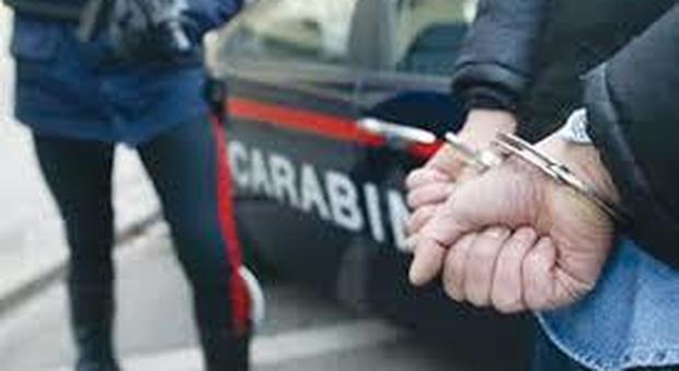 Fiumi di droga sull'asse Napoli-Palermo: sette arresti