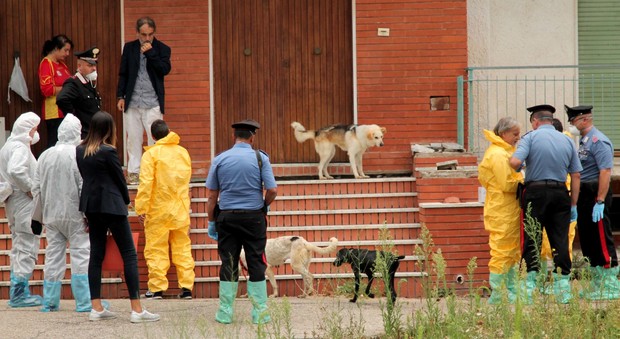 Pietrelcina, 70 cani liberati dalla villa lager