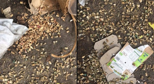 Choc a Roma, centinaia di denti umani trovati tra i rifiuti