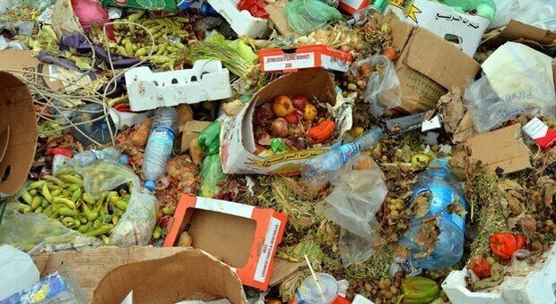 Alimentazione, il focus nei Paesi del G20: oltre 2 tonnellate di cibo sprecato ogni anno