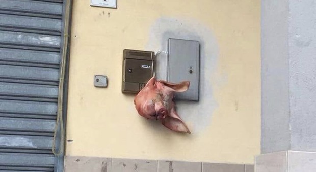 Olevano, una testa di maiale davanti al club juventino: lo sfottò diventa virale