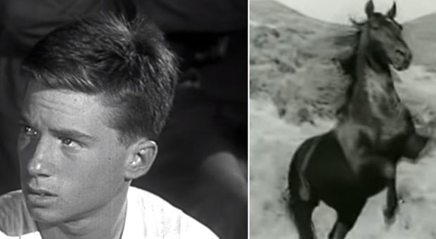 Bobby Diamond morto: il ragazzino che domò il cavallo Furia, bimbo prodigio del cinema anni 50