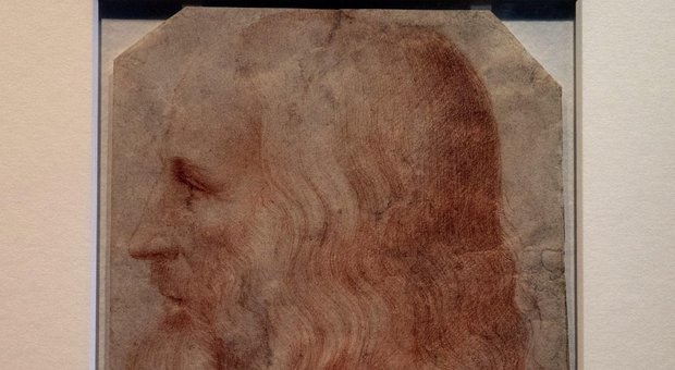 Leonardo, il direttore degli Uffizi: «I capelli ritrovati? Una cosa sciocca, non credibile»
