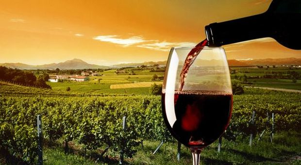 Prosecco, vino italiano più stappato nel mondo: vola export (+25%)
