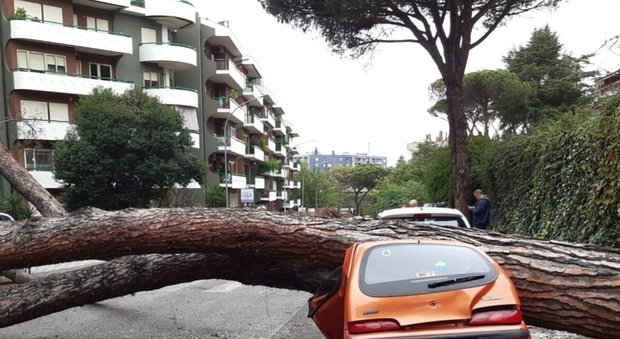 Roma, tragedia sfiorata a Mostacciano: albero si schianta su un'auto parcheggiata