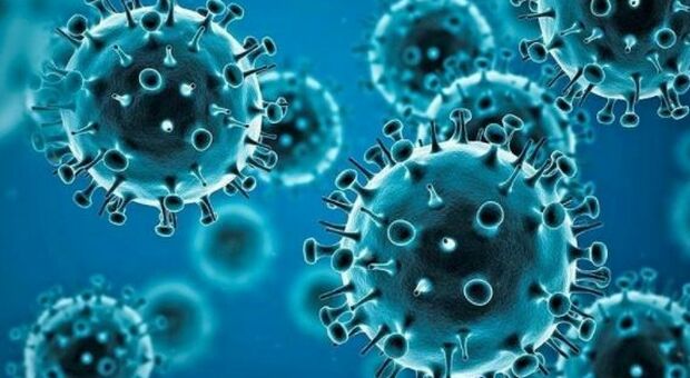 La quarta dose sarà necessaria? Il dibattito tra i virologi: «Valutare quanto dura l'immunità»