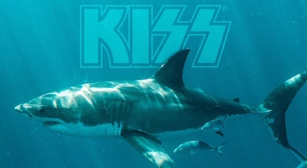 I Kiss in concerto in mezzo all'oceano a favore deggli squali (immagine pubblicata da Kiss su Fb)