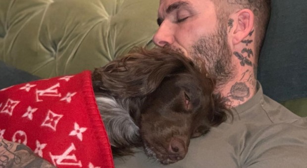 David Beckham a tutto lusso, il suo cane dorme con una coperta di Vuitton da oltre 5mila euro