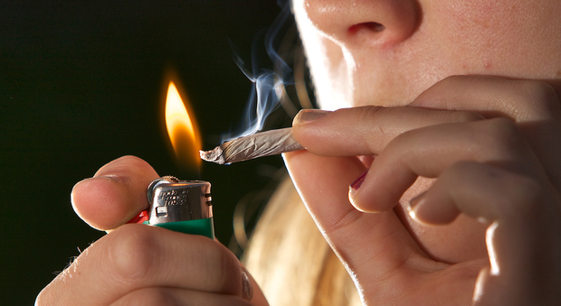 Cannabis legale, diminuisce il consumo di droghe pesanti