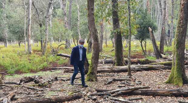 Il presidente dell'ente Parco nazionale del Circeo Giuseppe Marzano in uno dei punti più devastati della foresta