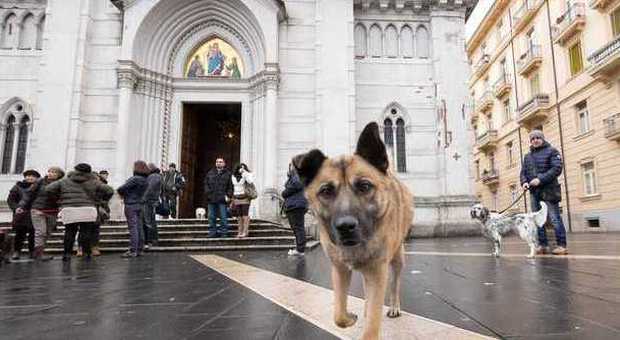 Cani fuori dalla chiesa,scatta la protesta