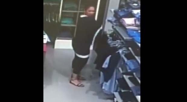"Ladri nel mio negozio, sparisce di tutto...": ​il negoziante pubblica il video su Facebook