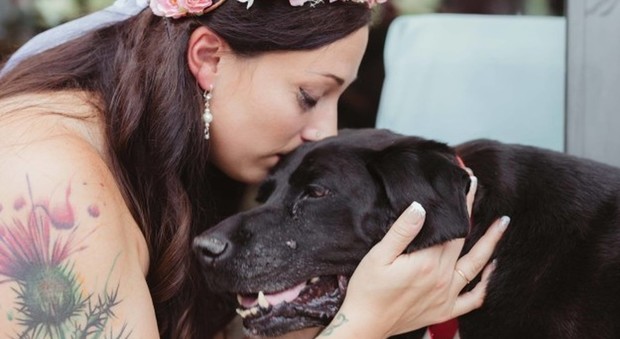 Al cane malato di cancro danno pochi giorni di vita: lui sopravvive fino al matrimonio della padrona
