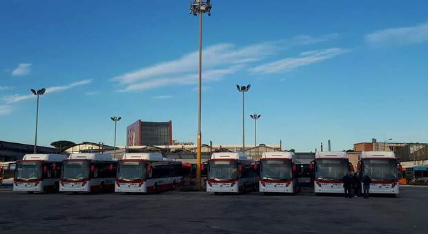 Ctp, arrivati stamattina 15 nuovi bus della Regione per potenziare l'area nord