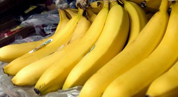 2021 senza banane? L'eruzione del vulcano ha distrutto le piantagioni del maggior esportatore mondiale