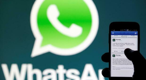 La truffa del messaggio "esca" su Whatsapp: rubati trecento profili