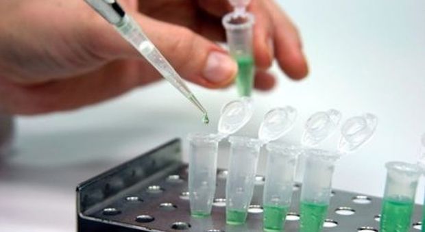 Vaccini antitumore, "i primi sono sicuri": già due test sull'uomo