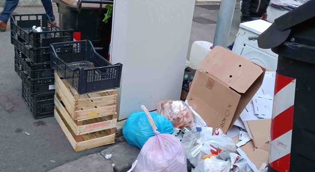 Tuscolana ostaggio di rifiuti e guano. I residenti: «Mai viste scene così»