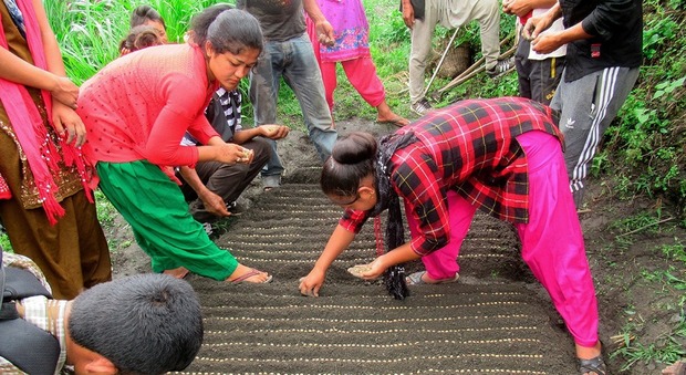 Contadini nepalesi del distretto di Rasuwa coinvolti nel progetto solidale di "Treedom"
