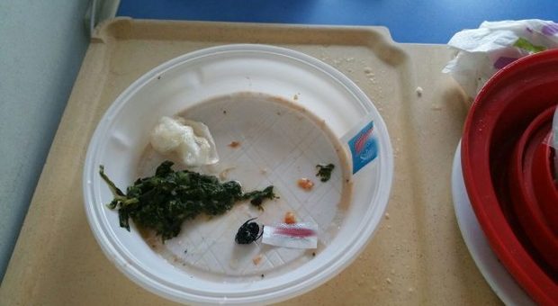 Napoli: insetti nel cibo dei pazienti, l'Asl manda gli ispettori in ospedale