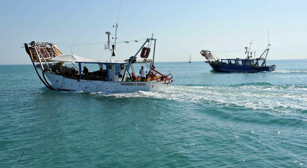 Coldiretti Impresapesca Marche, dopo il Covid un nuovo stop: dal 31 luglio scatta il fermo pesca in Adriatico