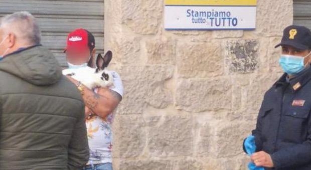 Fondi, sorpreso a passeggiare in centro si giustifica: «Porto a spasso il mio coniglio». Multato dalla polizia