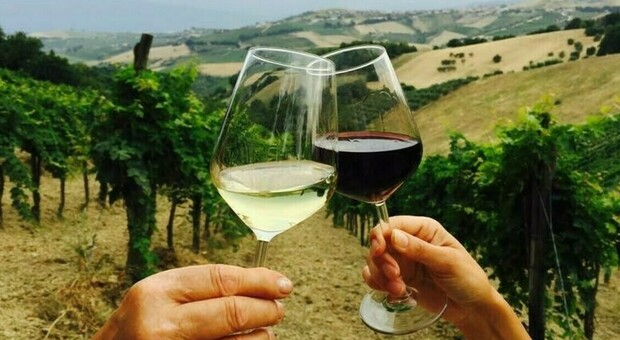 Gli imprenditori delle cantine marchigiane presenti al Vinitaly: «Il 2023 un anno disastroso ma il nostro vino è di qualità. A Verona lo dimostreremo»