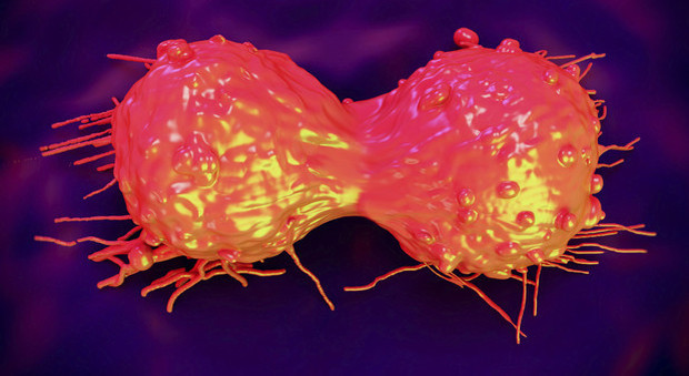 Cellula tumorale durante il processo di divisione