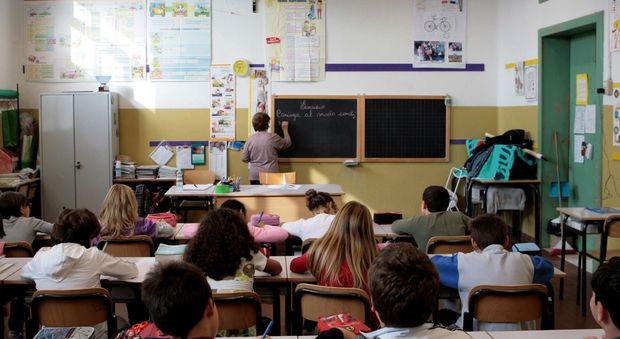 Roma, topi in una scuola al Portuense: «Girano nei corridoi»