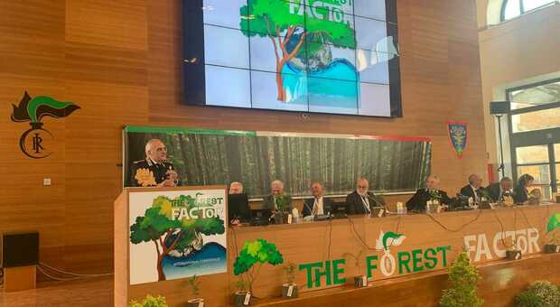 Un momento della conferenza internazionale "The Forest Factor"