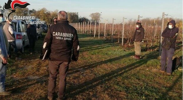 I controlli dei carabinieri nelle aziende agricole