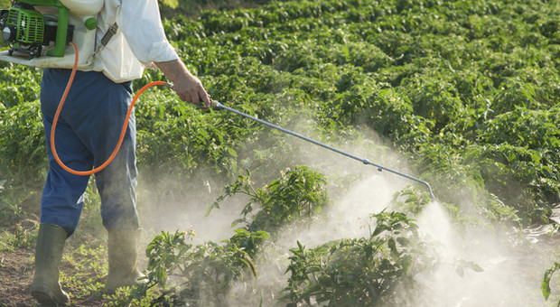 Pesticidi: Bruxelles approva il divieto al thiacloprid