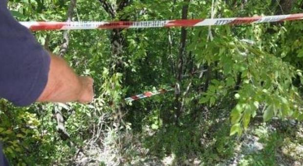 Cosenza, 17enne trovato impiccato ad un albero: ​era scomparso da ieri pomeriggio