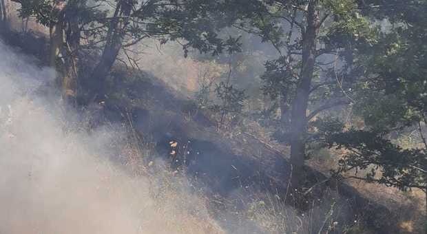 Bruciano i boschi a Mugnano, in fumo 26 ettari in Irpinia