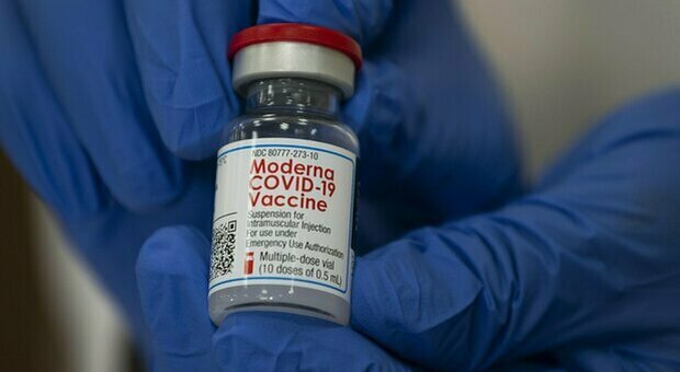 Vaccino, Moderna: «Gli anticorpi persistono 6 mesi dopo la seconda dose»