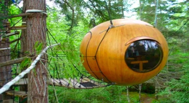 Il lusso è di casa sulle ghiande appese agli alberi a Vancouver in Canada