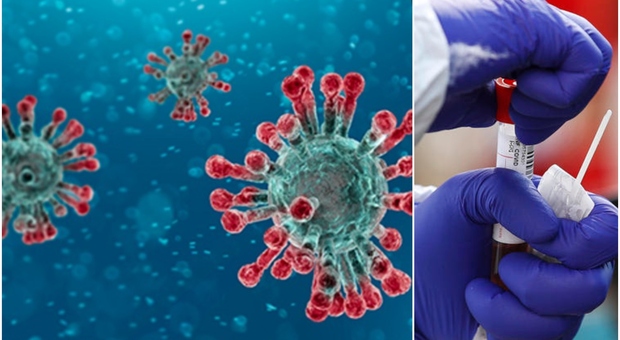 Omicron 5, la nuova variante «può reinfettarti ogni mese, questo virus passa sotto i radar»: l'ultimo studio