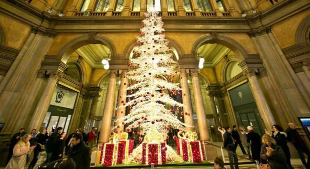Roma, in Galleria Alberto Sordi arriva il Natale green con l'albero riciclato