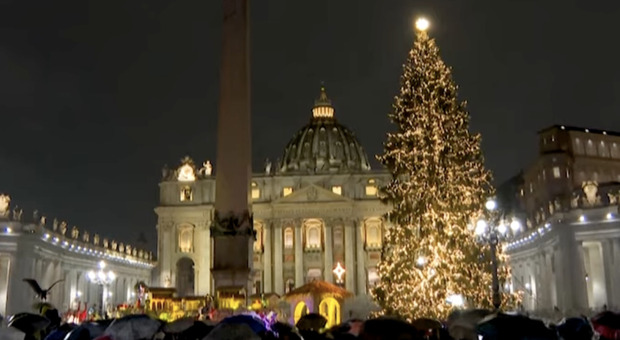 In Vaticano si prepara il Natale, accensione dell'Albero il 7 dicembre, l'abete arriva da Cuneo e sarà decorato con stelle alpine