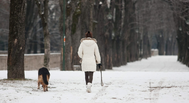 A passeggio con il cane (foto d'archivio)