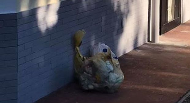 Cittadino abbandona i sacchetti della spazzatura, il sindaco glieli riporta a casa