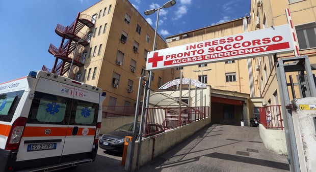 Aggredita da pitbull a Napoli, 49enne finisce in ospedale