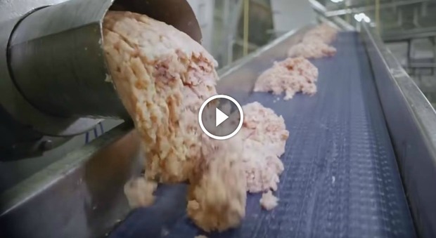 La produzione delle crocchette di pollo del McDonald