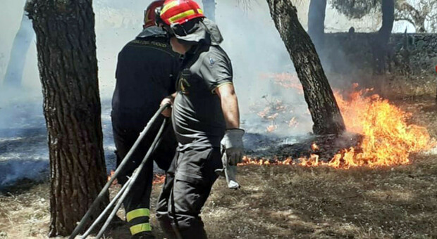 Puglia senza flotta antincendio: «Bloccato l’acquisto dei fireboss»