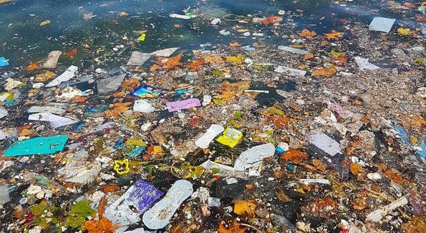Napoli, paradiso violato alla Gaiola: rifiuti e liquami in mare