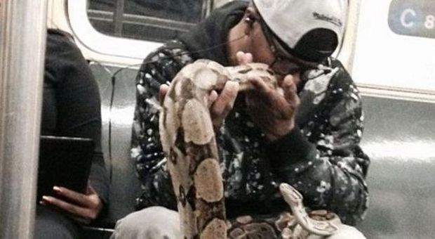 Tira fuori dalla borsa e gioca con due serpenti: passeggeri spaventati nella metro di New York