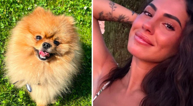Giulia De Lellis torna sui social dopo la morte del cagnolino Tommy: «Non riesco a parlare, grazie per il vostro affetto». Poi, lo sfogo