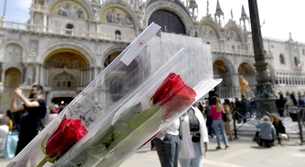 Festa di San Marco, è il giorno del "bocolo" degli innamorati: lotta ai fioristi abusivi