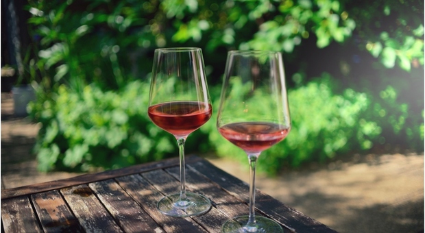 Bere uno o due bicchieri di vino al giorno non è più salutare che astenersi, lo studio