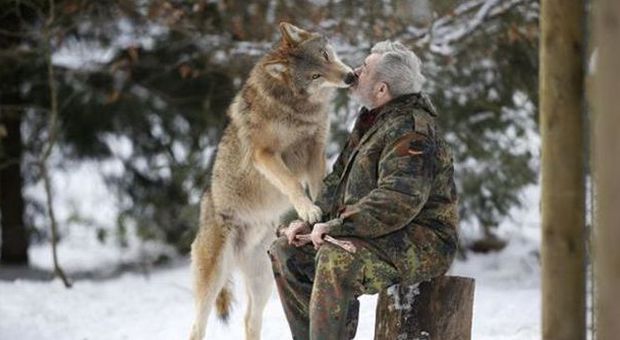 Lo studioso tedesco che ha scelto di vivere con i lupi